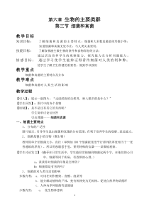 《细菌和真菌》教案-七年级上册科学华师大版