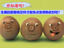 《艳丽多姿的生物》PPT课件 (3)-七年级上册科学华师大版