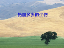 《艳丽多姿的生物—陆生植物》》PPT课件2-七年级上册科学华师大版