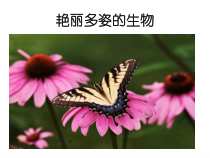 《艳丽多姿的生物》PPT课件 (2)-七年级上册科学华师大版