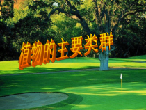 《植物的主要类群》PPT课件 (2)-七年级上册科学华师大版