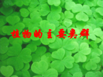 《植物的主要类群》PPT课件-七年级上册科学华师大版