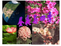 《昼夜与四季》PPT课件2-七年级上册科学华师大版