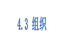 《组织、器官和系统》（第一学时）PPT课件2-七年级上册科学华师大版