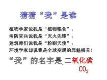 《二氧化碳》PPT课件 (2)-七年级下册科学华师大版