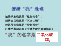 《二氧化碳 》PPT课件2-七年级下册科学华师大版