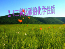 《二氧化碳的化学性质》PPT课件-七年级下册科学华师大版
