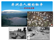 《二氧化碳的化学性质》PPT课件-七年级下册科学华师大版