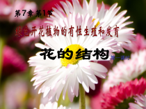 《绿色开花植物的有性生殖和发育——花的结构》PPT课件1-七年级下册科学华师大版