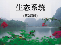 《生态系统》PPT课件 (7)-七年级下册科学华师大版