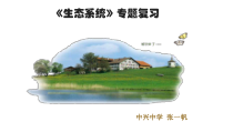 《生态系统复习课》PPT课件-七年级下册科学华师大版
