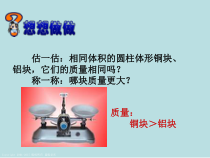 《密度（第一课时）》PPT课件-八年级上册科学华师大版