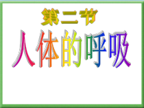 《人体的呼吸（第二课时）气体交换》PPT课件-八年级上册科学华师大版