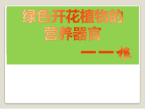 《绿色开花植物的营养器官——根》PPT课件-八年级上册科学华师大版