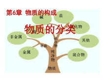 《物质的分类》PPT课件-八年级上册科学华师大版
