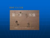 《压强》（第一课时）PPT课件-八年级上册科学华师大版