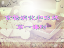 《食物的消化和吸收》PPT课件-八年级上册科学华师大版
