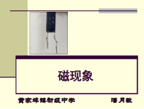 《磁现象》（第一课时）PPT课件-八年级下册科学华师大版