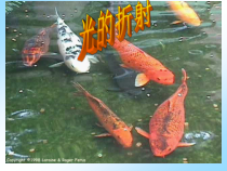 《光的折射》PPT课件 (3)-八年级下册科学华师大版
