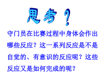 《人体生命活动的神经调节》PPT课件 (2)-八年级下册科学华师大版