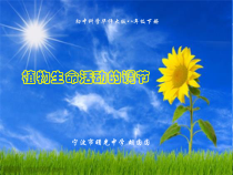 《植物生命活动的调节》》PPT课件-八年级下册科学华师大版