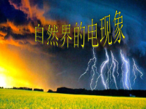 《自然界的电现象》PPT课件-八年级下册科学华师大版