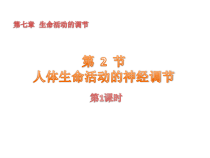 7.2《人体生命活动的神经调节》（第1课时）PPT课件-八年级下册科学华师大版