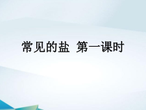 《常见的盐》（第一课时）PPT课件-九年级上册科学华师大版