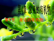 《身边的有机物》PPT课件 (2)-九年级上册科学华师大版