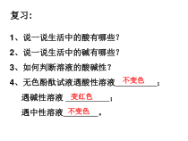 《重要的酸》PPT课件-九年级上册科学华师大版