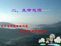 《生命起源》PPT课件-九年级下册科学华师大版