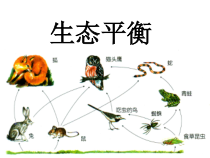 《生态平衡》PPT课件-九年级下册科学华师大版