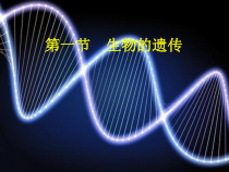《生物的遗传》PPT课件 (3)-九年级下册科学华师大版