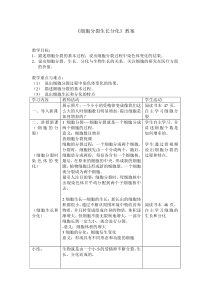 《生物体的结构层次--细胞分裂、生长、风化》教案-七年级上册科学浙教版