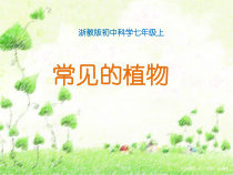 《常见的植物》说课课件-七年级上册科学浙教版