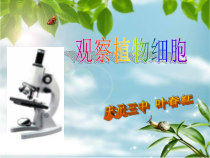 《观察植物细胞》PPT课件-七年级上册科学浙教版