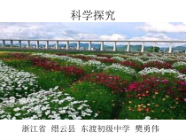 《科学探究》PPT课件 (4)-七年级上册科学浙教版