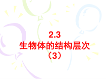 《生物体的结构层次》PPT课件-七年级上册科学浙教版