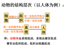 《常见的动物》PPT课件-七年级上册科学浙教版