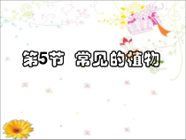 《常见的植物》PPT课件 (2)-七年级上册科学浙教版