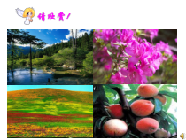 《常见的植物》PPT课件 (4)-七年级上册科学浙教版