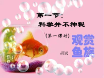 《科学并不神秘-1》PPT课件-七年级上册科学浙教版
