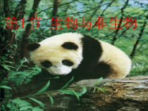 《生物与非生物》PPT课件 (2)-七年级上册科学浙教版
