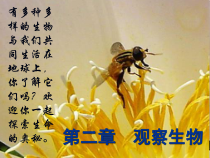 《生物与非生物》PPT课件 (6)-七年级上册科学浙教版