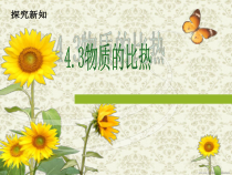 《物质的比热》PPT课件 (3)-七年级上册科学浙教版