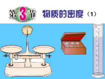 《物质的密度》PPT课件 (11)-七年级上册科学浙教版