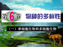 《物种的多样性》PPT课件-七年级上册科学浙教版