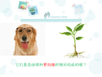 《细胞》PPT课件 (2)-七年级上册科学浙教版