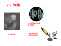 《细胞》PPT课件 (3)-七年级上册科学浙教版