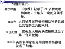 《细胞》PPT课件 (5)-七年级上册科学浙教版